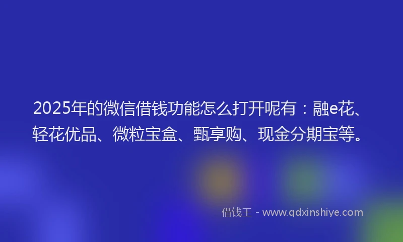 2025年的微信借钱功能怎么打开呢有：融e花、轻花优品、微粒宝盒、甄享购、现金分期宝等。