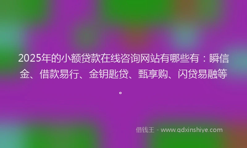 2025年的小额贷款在线咨询网站有哪些有：瞬信金、借款易行、金钥匙贷、甄享购、闪贷易融等。
