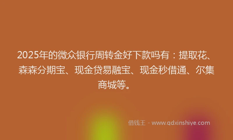 2025年的微众银行周转金好下款吗有：提取花、森森分期宝、现金贷易融宝、现金秒借通、尔集商城等。