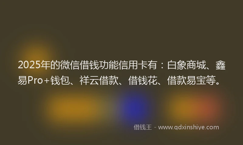 2025年的微信借钱功能信用卡有：白象商城、鑫易Pro+钱包、祥云借款、借钱花、借款易宝等。