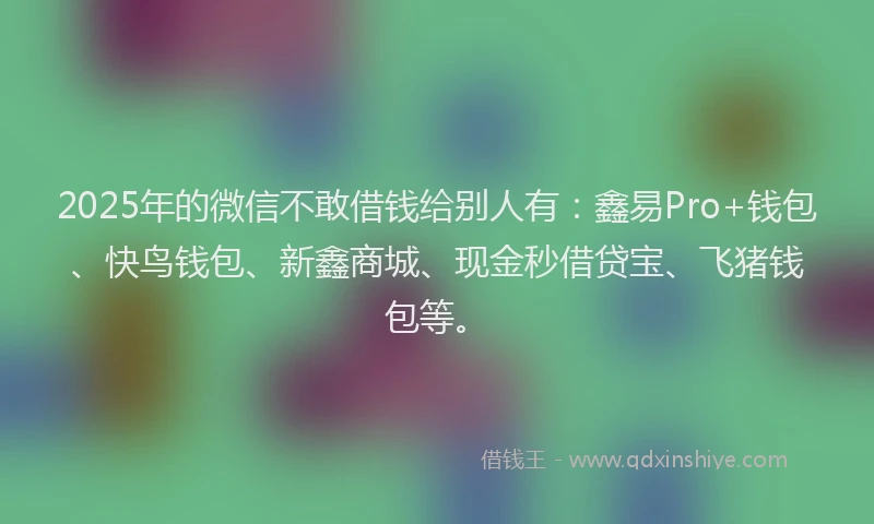 2025年的微信不敢借钱给别人有：鑫易Pro+钱包、快鸟钱包、新鑫商城、现金秒借贷宝、飞猪钱包等。