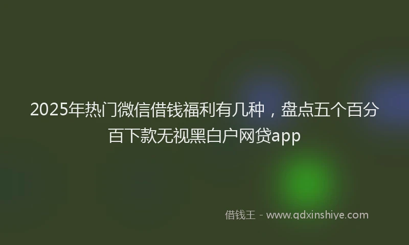 2025年热门微信借钱福利有几种，盘点五个百分百下款无视黑白户网贷app