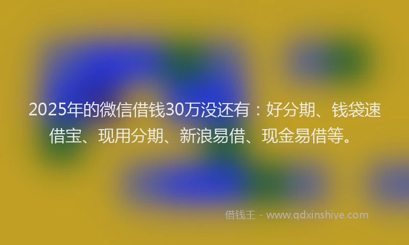 2025年的微信借钱30万没还有：好分期、钱袋速借宝、现用分期、新浪易借、现金易借等。