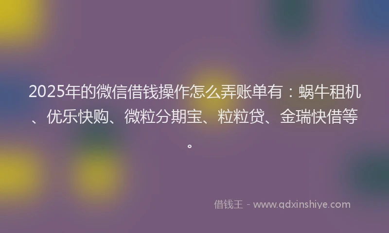 2025年的微信借钱操作怎么弄账单有：蜗牛租机、优乐快购、微粒分期宝、粒粒贷、金瑞快借等。