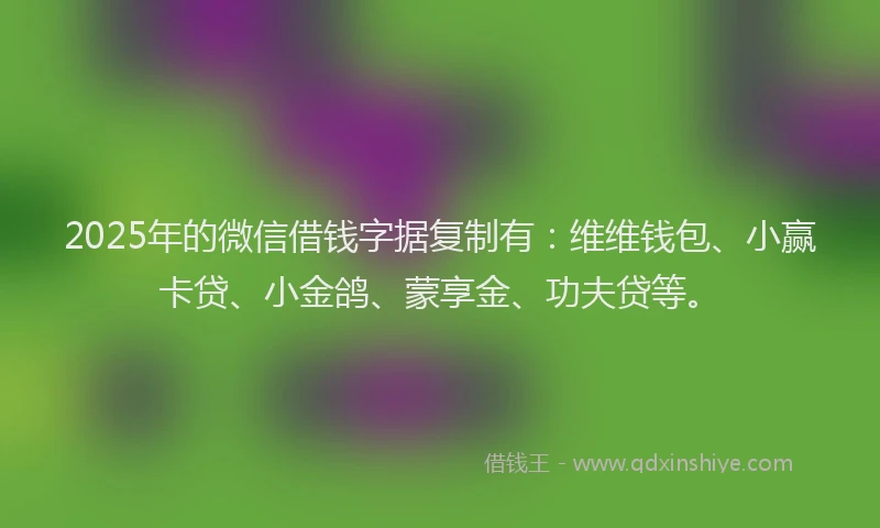 2025年的微信借钱字据复制有：维维钱包、小赢卡贷、小金鸽、蒙享金、功夫贷等。