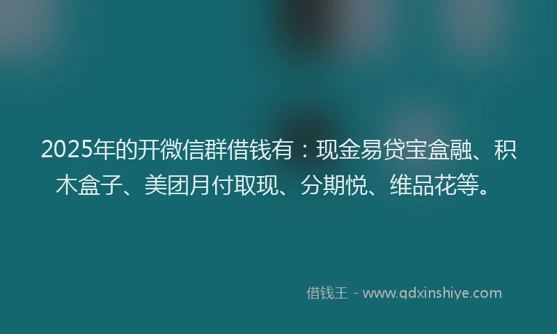 2025年的开微信群借钱有：现金易贷宝盒融、积木盒子、美团月付取现、分期悦、维品花等。