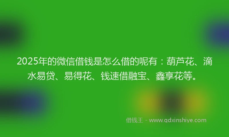 2025年的微信借钱是怎么借的呢有:葫芦花、滴水易贷、易得花、钱速借融宝、鑫享花等。