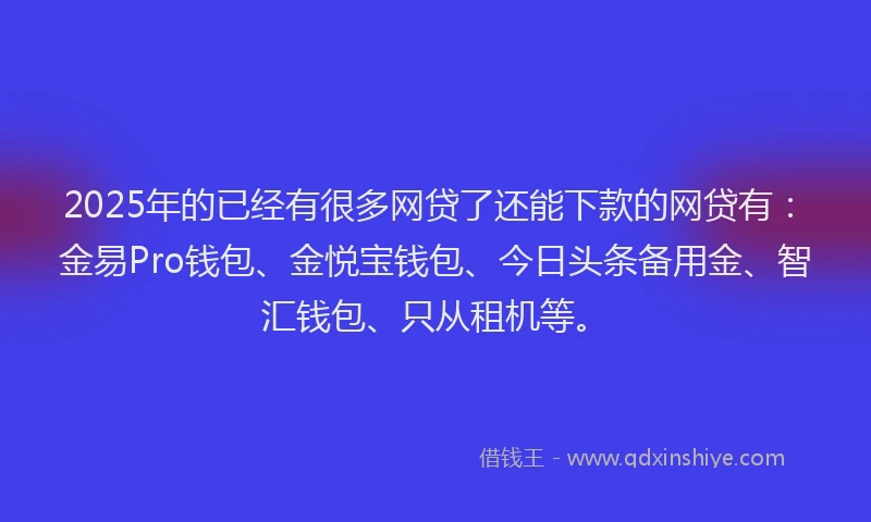 2025年的已经有很多网贷了还能下款的网贷有：金易Pro钱包、金悦宝钱包、今日头条备用金、智汇钱包、只从租机等。