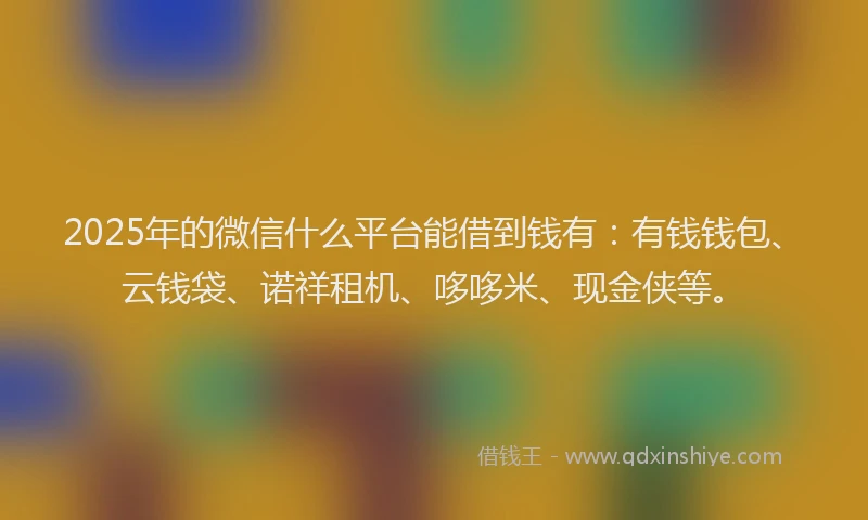2025年的微信什么平台能借到钱有：有钱钱包、云钱袋、诺祥租机、哆哆米、现金侠等。