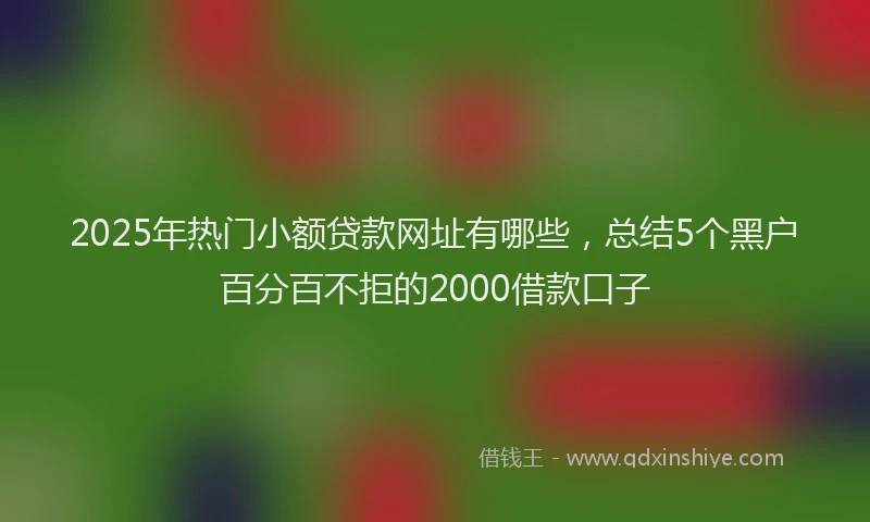 2025年热门小额贷款网址有哪些，总结5个黑户百分百不拒的2000借款口子