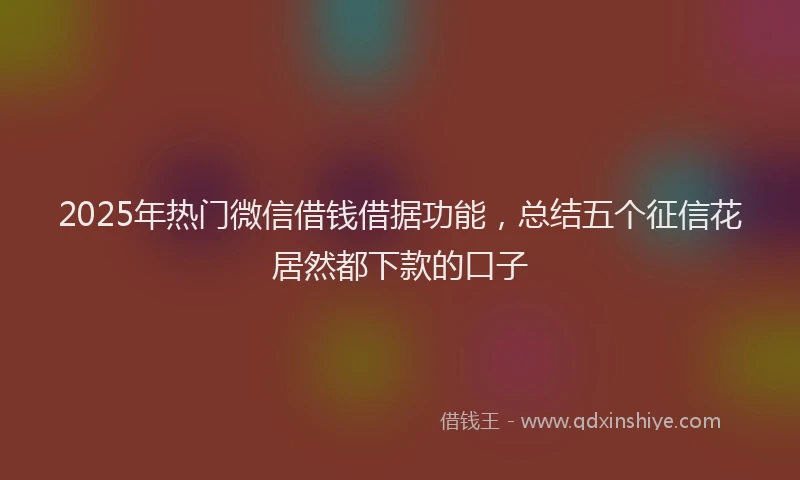 2025年热门微信借钱借据功能，总结五个征信花居然都下款的口子