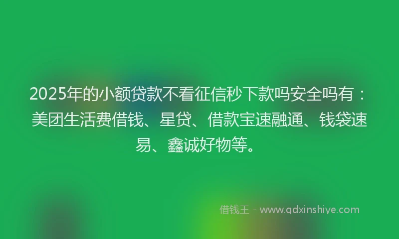2025年的小额贷款不看征信秒下款吗安全吗有：美团生活费借钱、星贷、借款宝速融通、钱袋速易、鑫诚好物等。