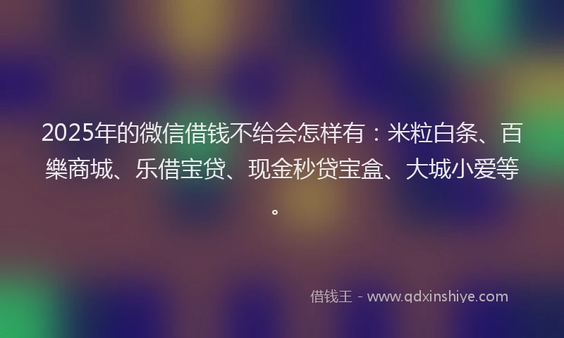 2025年的微信借钱不给会怎样有：米粒白条、百樂商城、乐借宝贷、现金秒贷宝盒、大城小爱等。
