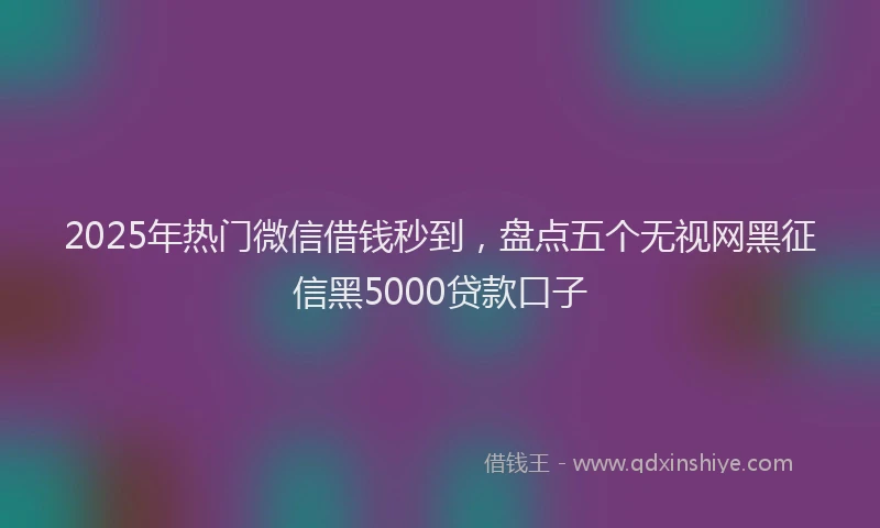 2025年热门微信借钱秒到，盘点五个无视网黑征信黑5000贷款口子