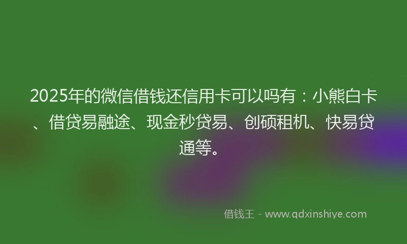 2025年的微信借钱还信用卡可以吗有：小熊白卡、借贷易融途、现金秒贷易、创硕租机、快易贷通等。