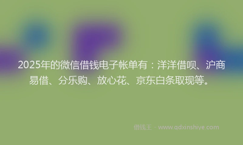 2025年的微信借钱电子帐单有:洋洋借呗、沪商易借、分乐购、放心花、京东白条取现等。