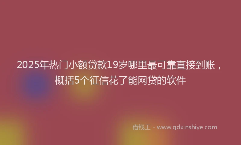 2025年热门小额贷款19岁哪里最可靠直接到账，概括5个征信花了能网贷的软件