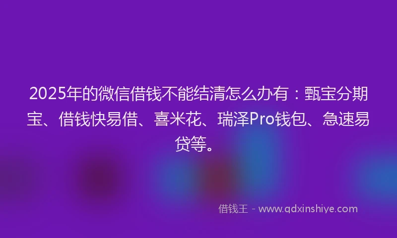2025年的微信借钱不能结清怎么办有：甄宝分期宝、借钱快易借、喜米花、瑞泽Pro钱包、急速易贷等。
