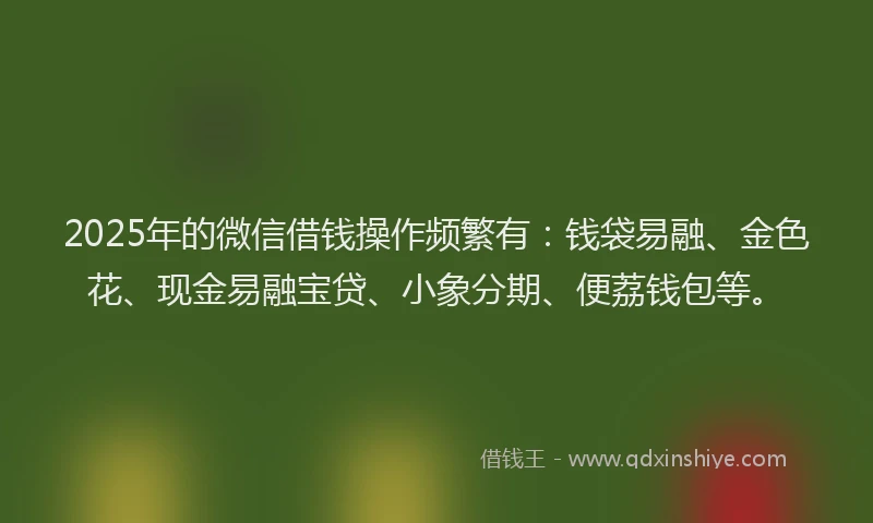 2025年的微信借钱操作频繁有：钱袋易融、金色花、现金易融宝贷、小象分期、便荔钱包等。