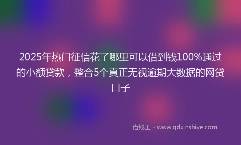 2025年热门征信花了哪里可以借到钱100%通过的小额贷款，整合5个真正无视逾期大数据的网贷口子