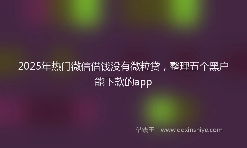 2025年热门微信借钱没有微粒贷，整理五个黑户能下款的app