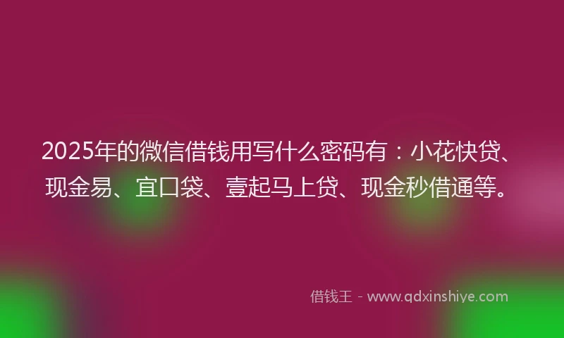 2025年的微信借钱用写什么密码有：小花快贷、现金易、宜口袋、壹起马上贷、现金秒借通等。