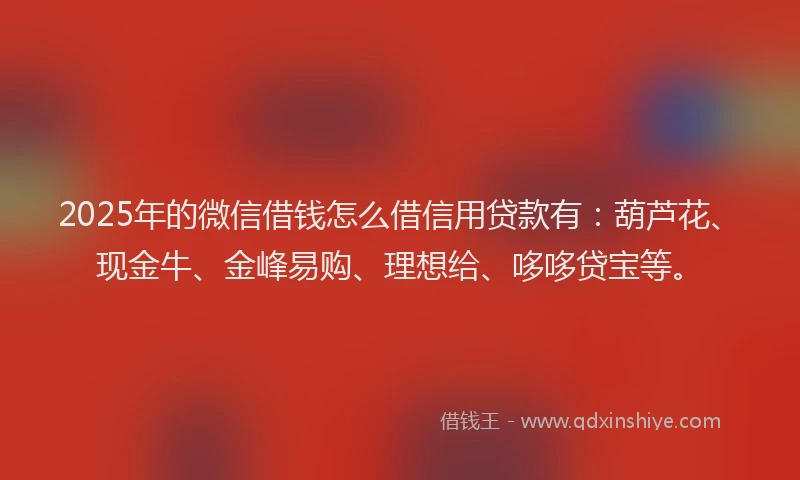 2025年的微信借钱怎么借信用贷款有：葫芦花、现金牛、金峰易购、理想给、哆哆贷宝等。