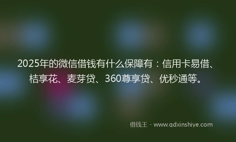 2025年的微信借钱有什么保障有:信用卡易借、桔享花、麦芽贷、360尊享贷、优秒通等。