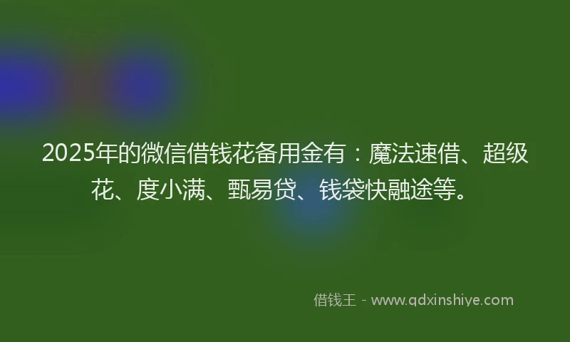 2025年的微信借钱花备用金有：魔法速借、超级花、度小满、甄易贷、钱袋快融途等。
