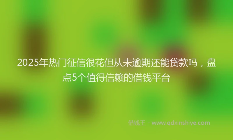 2025年热门征信很花但从未逾期还能贷款吗，盘点5个值得信赖的借钱平台