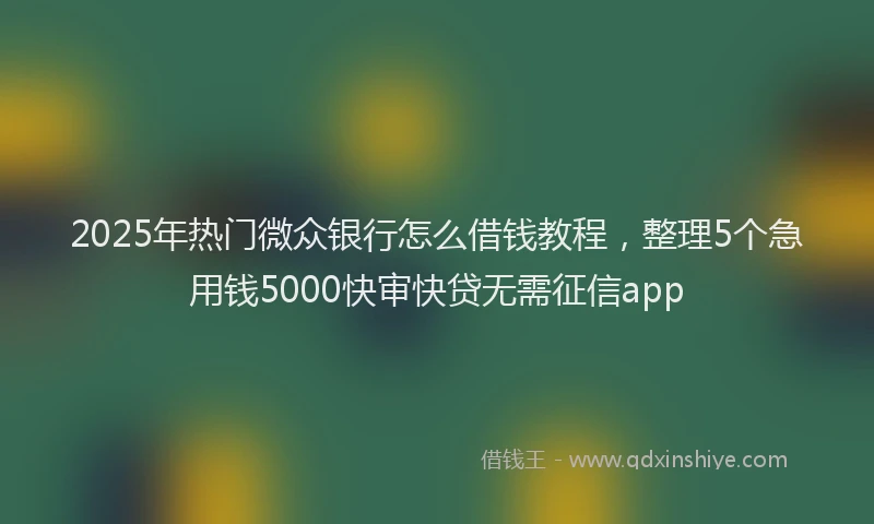 2025年热门微众银行怎么借钱教程，整理5个急用钱5000快审快贷无需征信app