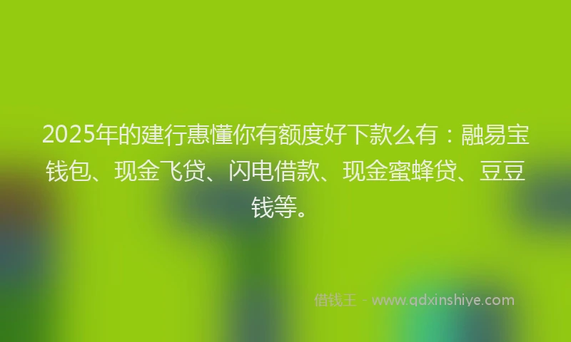 2025年的建行惠懂你有额度好下款么有：融易宝钱包、现金飞贷、闪电借款、现金蜜蜂贷、豆豆钱等。