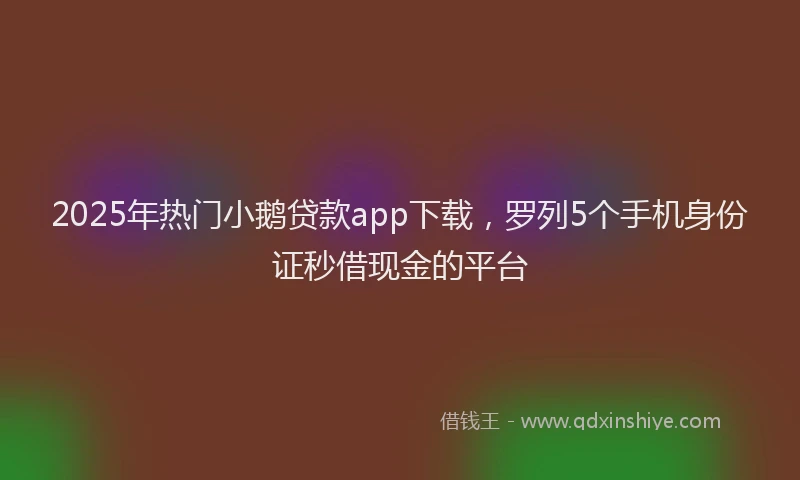 2025年热门小鹅贷款app下载，罗列5个手机身份证秒借现金的平台