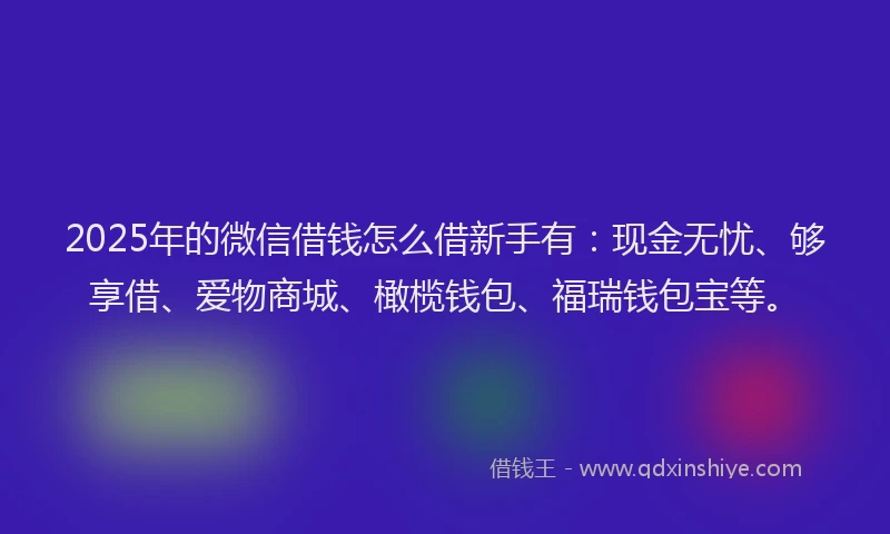 2025年的微信借钱怎么借新手有：现金无忧、够享借、爱物商城、橄榄钱包、福瑞钱包宝等。