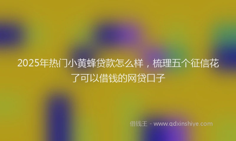 2025年热门小黄蜂贷款怎么样，梳理五个征信花了可以借钱的网贷口子