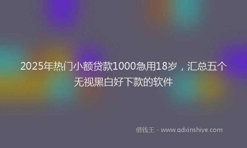 2025年热门小额贷款1000急用18岁，汇总五个无视黑白好下款的软件