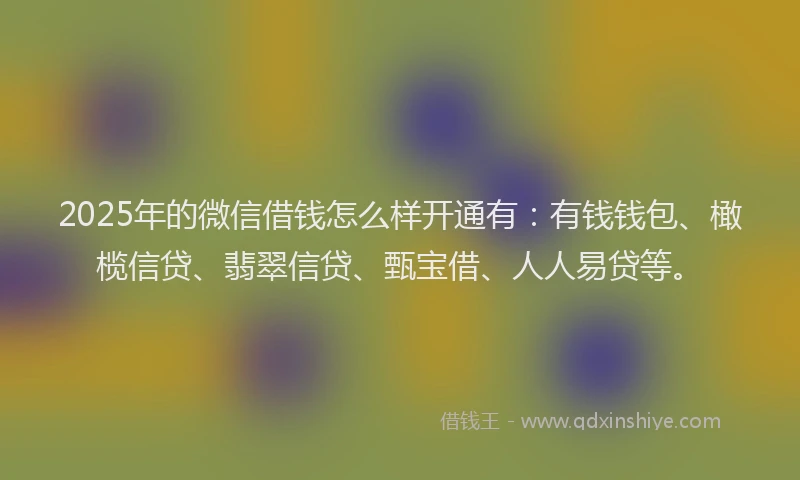 2025年的微信借钱怎么样开通有:有钱钱包、橄榄信贷、翡翠信贷、甄宝借、人人易贷等。
