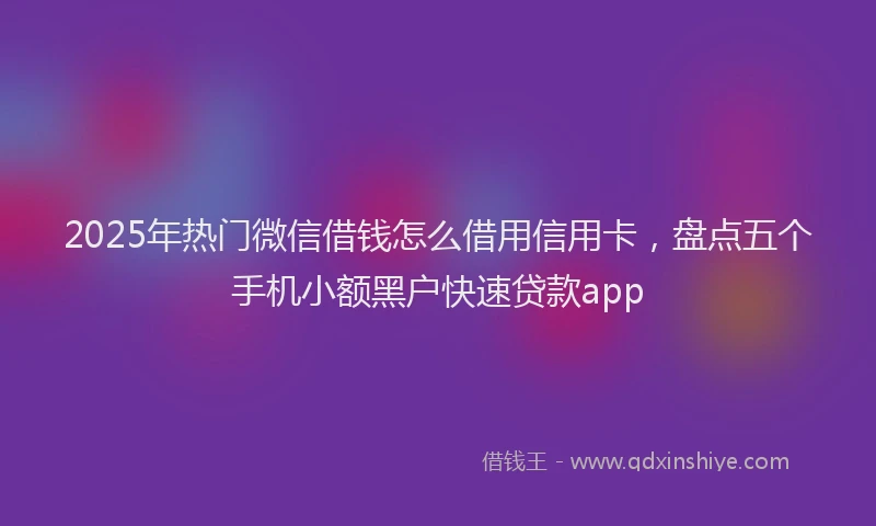 2025年热门微信借钱怎么借用信用卡，盘点五个手机小额黑户快速贷款app