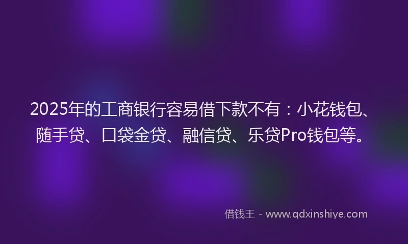 2025年的工商银行容易借下款不有：小花钱包、随手贷、口袋金贷、融信贷、乐贷Pro钱包等。