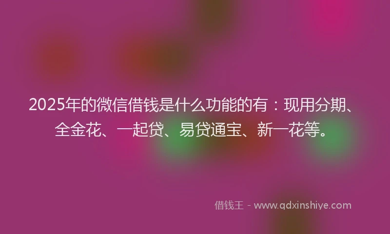 2025年的微信借钱是什么功能的有：现用分期、全金花、一起贷、易贷通宝、新一花等。