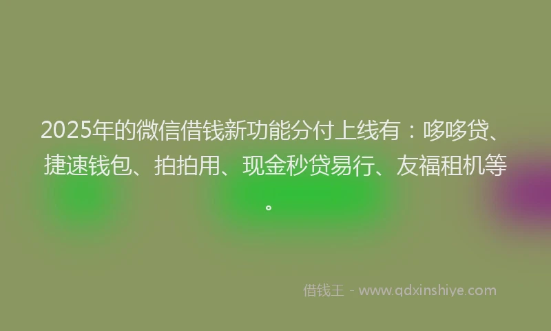 2025年的微信借钱新功能分付上线有：哆哆贷、捷速钱包、拍拍用、现金秒贷易行、友福租机等。