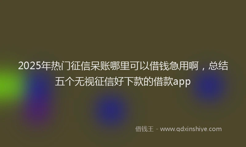 2025年热门征信呆账哪里可以借钱急用啊，总结五个无视征信好下款的借款app