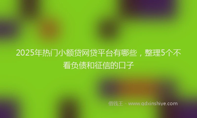 2025年热门小额贷网贷平台有哪些，整理5个不看负债和征信的口子