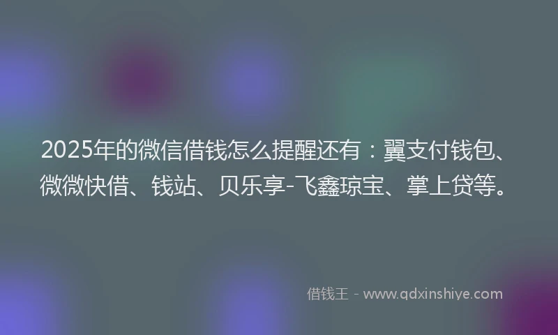 2025年的微信借钱怎么提醒还有:翼支付钱包、微微快借、钱站、贝乐享-飞鑫琼宝、掌上贷等。