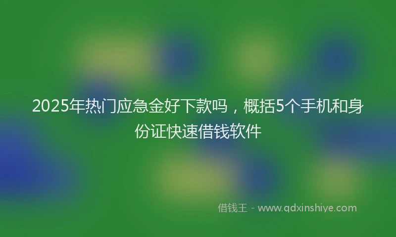 2025年热门应急金好下款吗，概括5个手机和身份证快速借钱软件