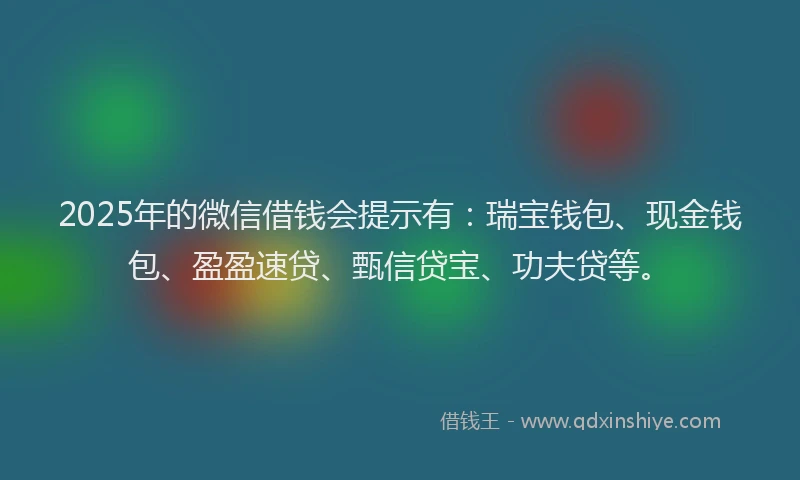 2025年的微信借钱会提示有：瑞宝钱包、现金钱包、盈盈速贷、甄信贷宝、功夫贷等。
