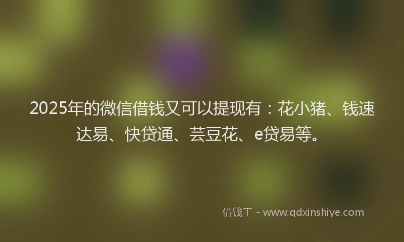2025年的微信借钱又可以提现有:花小猪、钱速达易、快贷通、芸豆花、e贷易等。
