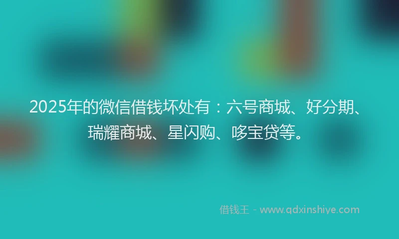 2025年的微信借钱坏处有：六号商城、好分期、瑞耀商城、星闪购、哆宝贷等。