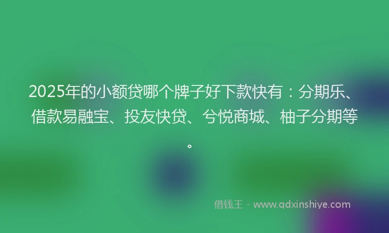 2025年的小额贷哪个牌子好下款快有：分期乐、借款易融宝、投友快贷、兮悦商城、柚子分期等。