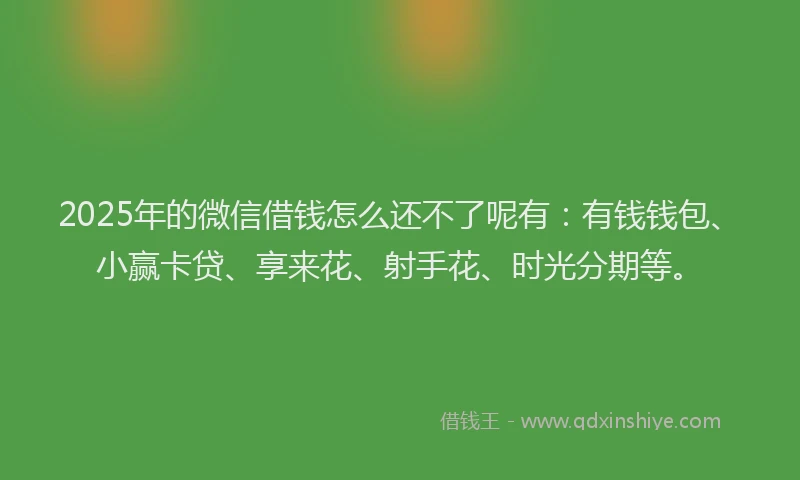 2025年的微信借钱怎么还不了呢有：有钱钱包、小赢卡贷、享来花、射手花、时光分期等。